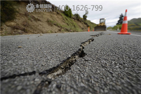 新西蘭7.8級強(qiáng)地震 最先崩潰的是三頭蒙圈牛……